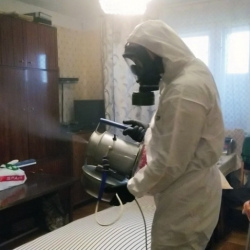 Дезинфекция от клопов в Белой Калитве